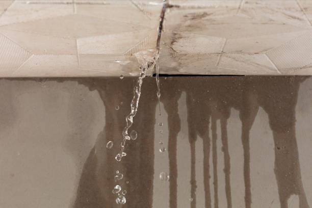 Professional Flood Damage Cleanup technician working in Buffalo, ND